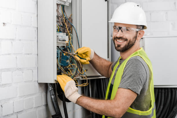 Best Electrical System Inspection  in Somerset, MD